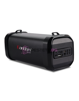 Тонколона Earldom ET-A11, Bluetooth, USB, FM, AUX
