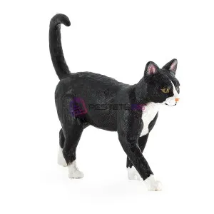 Котка, черно и бяло