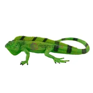 Игуана