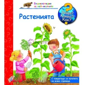 Пъзел 